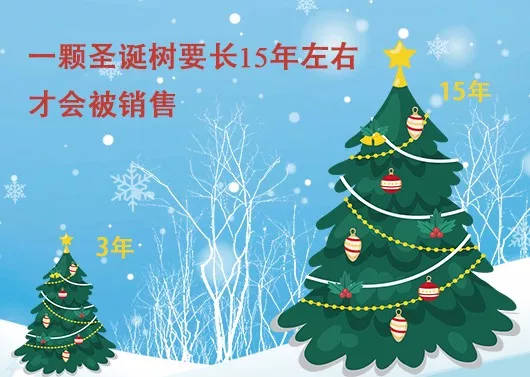 中國最早報(bào)道圣誕節(jié)的竟是《人民日報(bào)》，你不知道的10個(gè)圣誕小知識